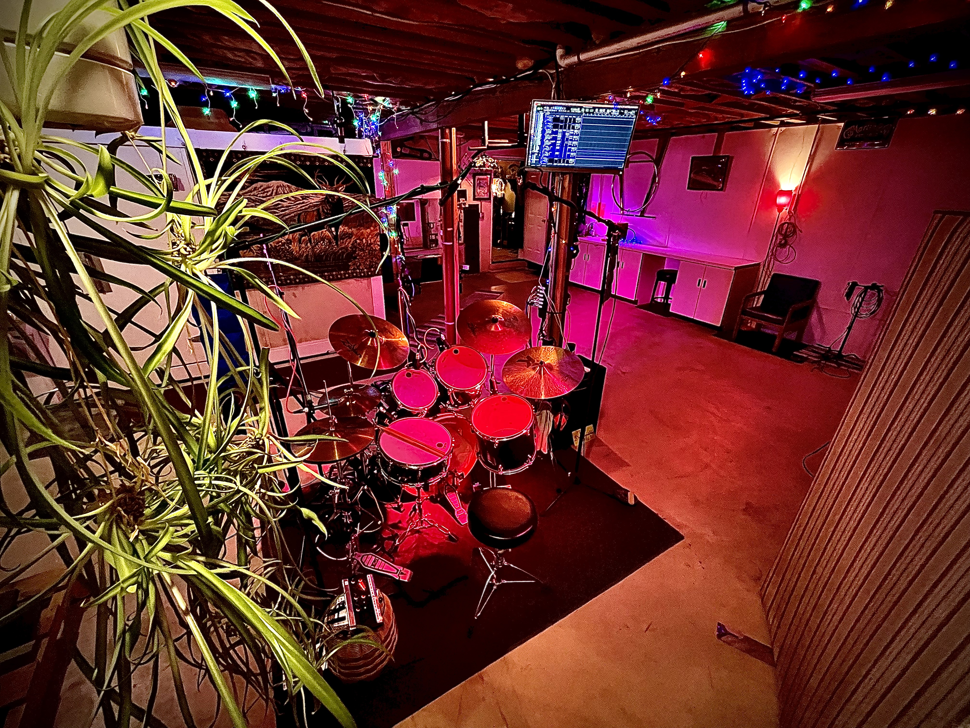 Drum kit with overhead plant